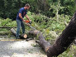 Best Leaf Removal  in Friedens, PA